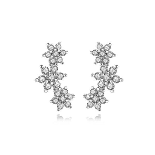 Brinco Aysha Cristal Prata